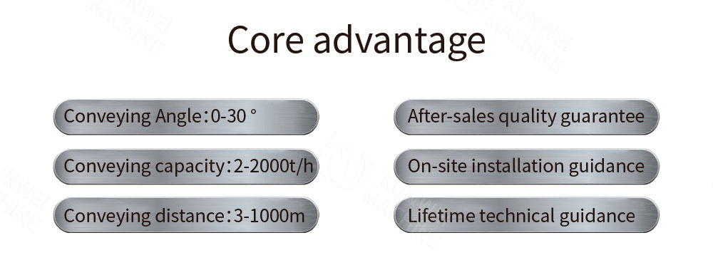 DTII type belt conveyor advantage